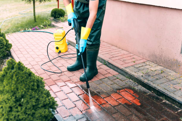 Best Pressure Washing Near Me  in Absecon Highlands, NJ